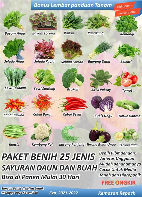 Cara Nak Buat Batas Tanaman Sayur Kecil