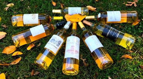 Sauternes Wine (Wine Style, Best Wines, Prices 2020)