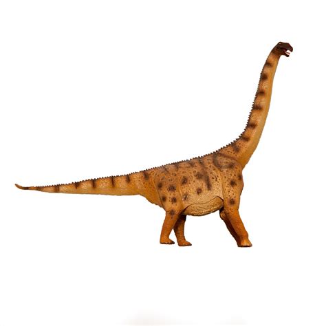 Titanosaur Dinosaur Figures – Eromanga