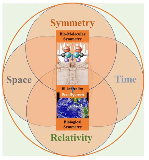 Symmetry | Free Full-Text | Fundamental Cause of Bio-Chirality: Space ...