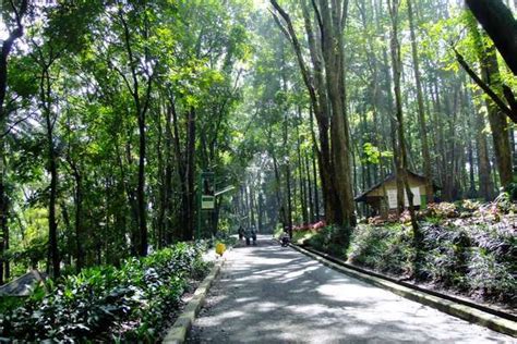 Hutan Kota Jombang - About Tangerang