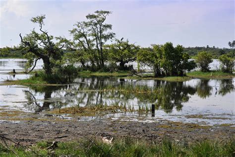 Kumana National Park - Lanka Excursions Holidays