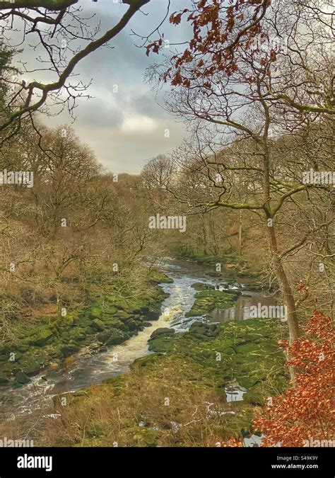 The River Wharfe North Yorkshire Stock Photo - Alamy