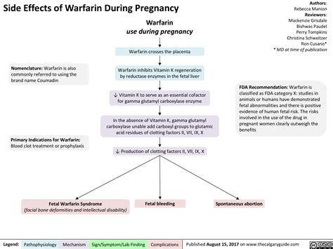 Side Effects of Warfarin During Pregnancy | Calgary Guide