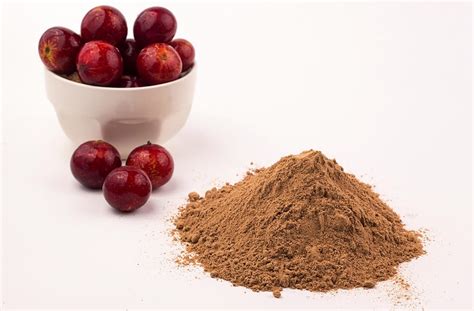 Camu Camu powder | Z-Company | Natural Health Food Ingredients Wholesaler