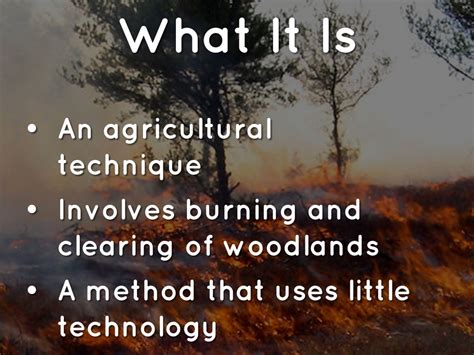 Slash-and-Burn's Ecological Effects by Serene Tan