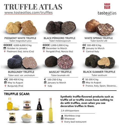 Truffles of the World: 11 Truffle Types | TasteAtlas | Truffles, Summer ...