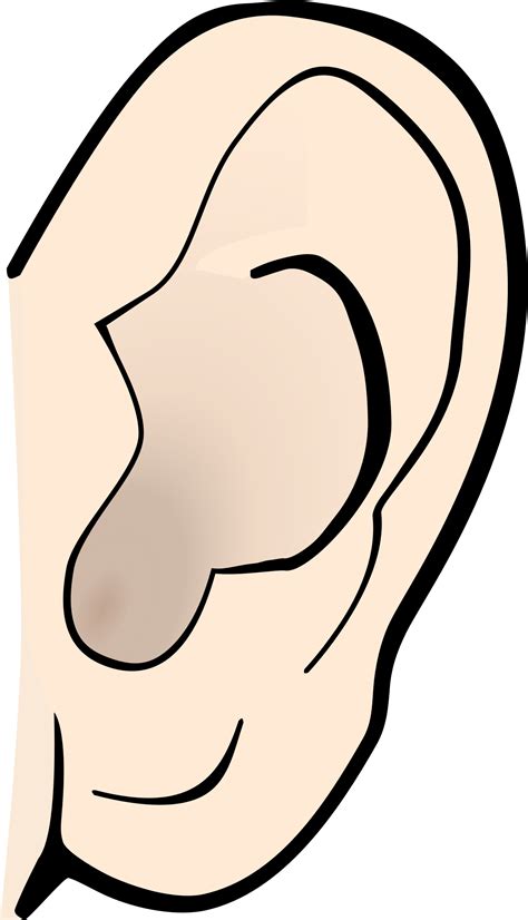 ears black and white clipart - Clip Art Library