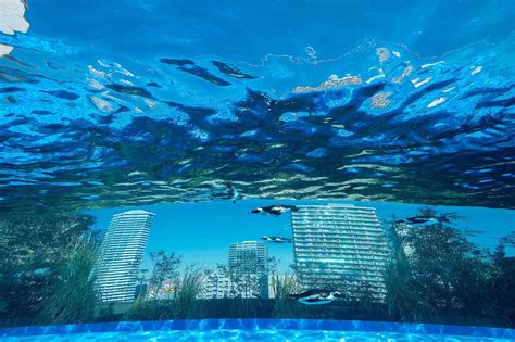 Sunshine Aquarium : Aquarium โคตรดีที่แอบซ่อนอยู่ในย่าน Ikebukuro