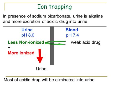 Renal Excretion of Drugs Pharmacology Department - ppt video online ...