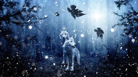 Winter Wolves Wallpapers - 4k, HD Winter Wolves Backgrounds on WallpaperBat