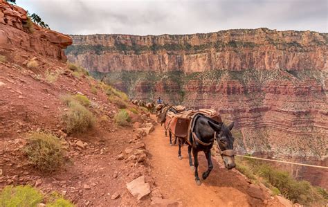 USA - Grand Canyon day hike: South Kaibab Trail to Skeleton Point – Chris Travel Blog | CTB Global®