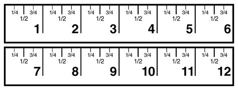 great ruler for teaching half and quarter inch measurement. 2nd Grade ...