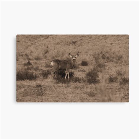 4x4 Canvas Prints | Redbubble