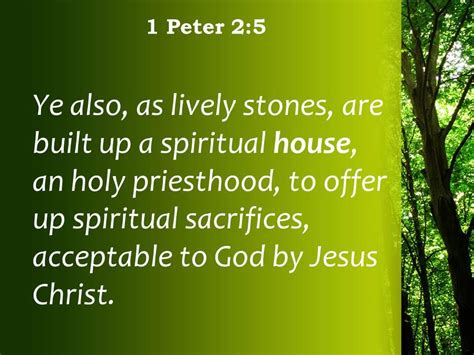 1 Peter 2 5 You Also Like Living Stones Powerpoint Church Sermon ...