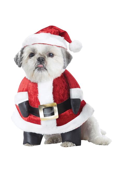 Dogs Santa Paws Costume - Holiday Costumes