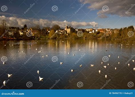 The Diss Mere stock photo. Image of park, england, norfolk - 78496770