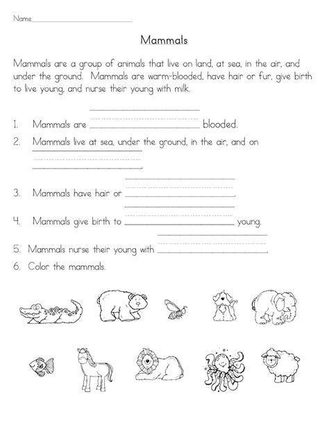 Mammals - Classroom Freebies | Worksheets for kids, Science for kids, Science activities for kids