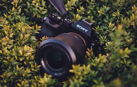 Sony A7 Wallpapers - Top Free Sony A7 Backgrounds - WallpaperAccess