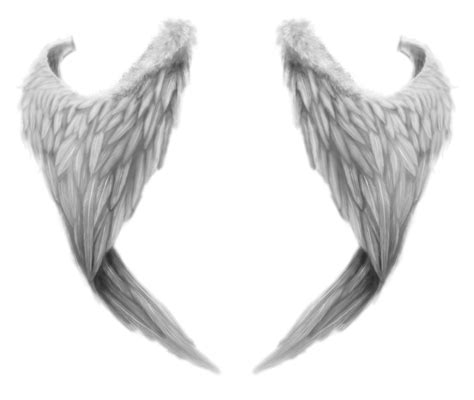 Wings HD PNG Transparent Wings HD.PNG Images. | PlusPNG