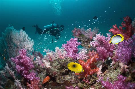 9 Best Spots for Scuba Diving in Thailand