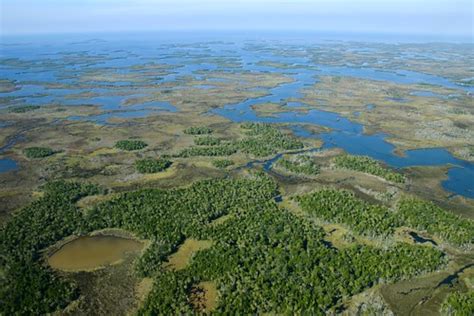 Aerial of Chassahowitzka National Wildlife Refuge | The cost… | Flickr