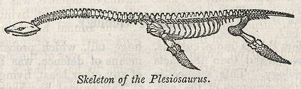 Robert Merry's Museum: “Wonders of Geology" (1842)