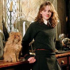 13 ideeën over Hermione cat | hermelien griffel, hermelien, witte kat