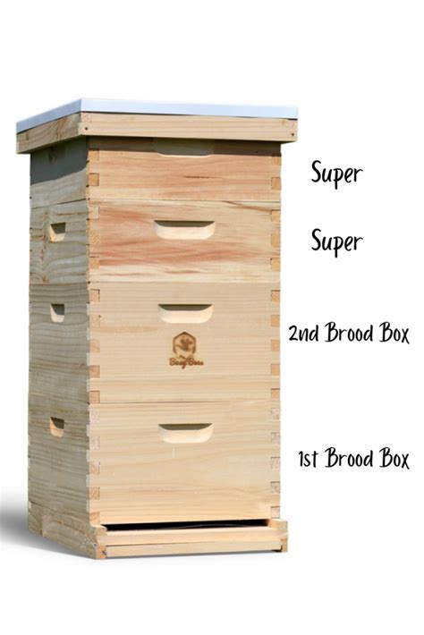 What is a Super in Beekeeping? - Complete Beehives