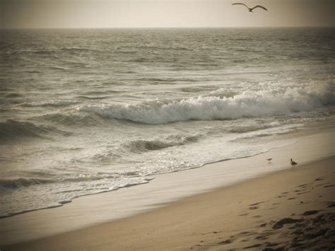 Malibu Beach Free Stock Photo - Public Domain Pictures