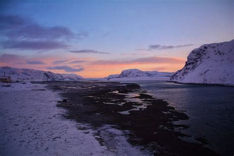 Arctic Experience: 5 Best Arctic Cruises | Expeditions Online