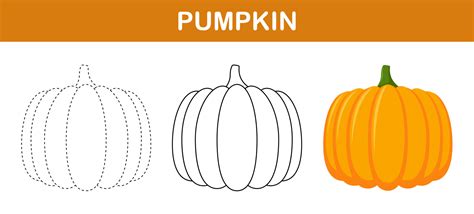 Pumpkin tracing and coloring worksheet for kids 12139287 Vector Art at ...