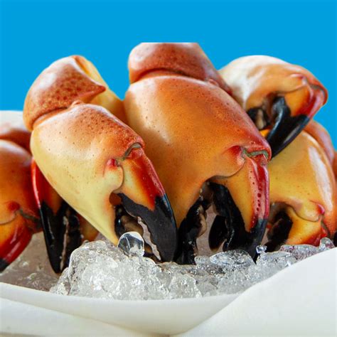 Stone Crab Season Florida 2024 - Maura Sherrie