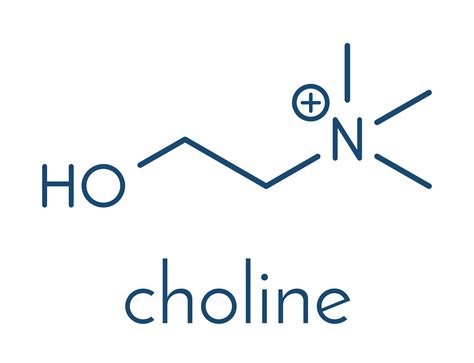 Lecithin - compedium