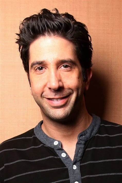 David Schwimmer Movies