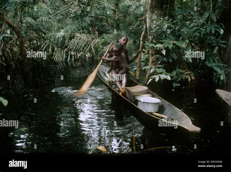 Congo Forest Africa