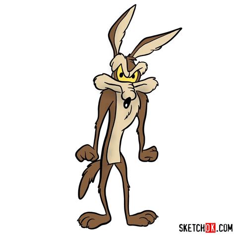 How To Draw Wile E Coyote Sketchok Easy Drawing Guides | The Best Porn ...