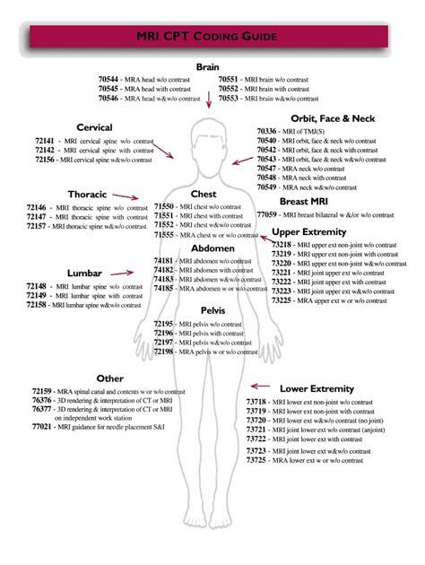 Cpt Codes For Ct Scans 2024 - Vivi Alvinia