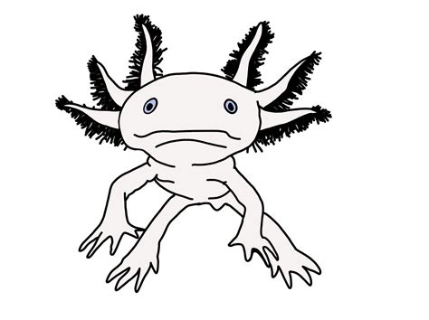 Hand Drawn Axolotl Amphibian Walking Fish SVG File Drawn - Etsy in 2022 | How to draw hands ...