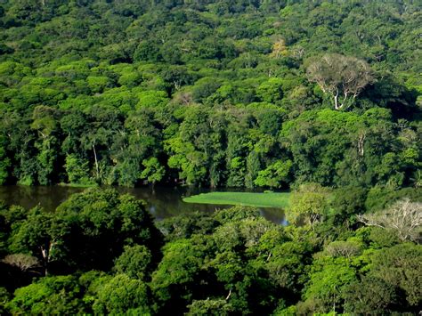 Tortuguero National Park Photos