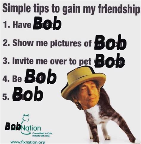 Bob : r/BobDylanMemes