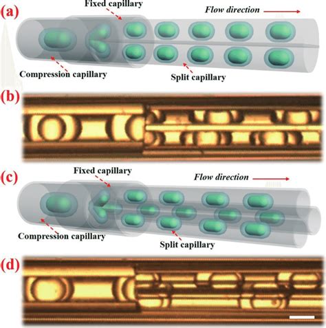 The microfluidic process for splitting double emulsions into two and ...