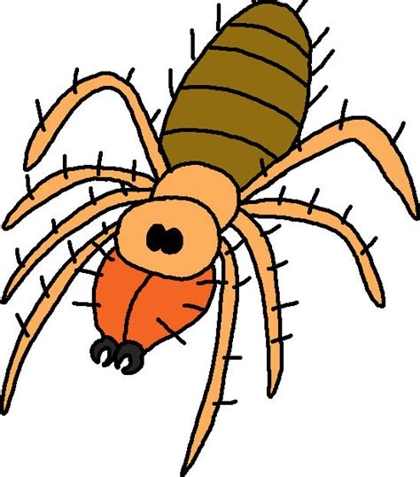 Hairy Solifugae by Blackrhinoranger on DeviantArt