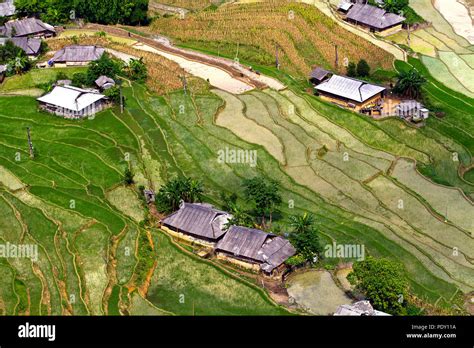 Rice terraces in Ha Giang province, northwest Vietnam Stock Photo - Alamy