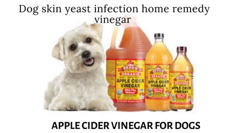 Can You Use Vinegar To Treat Dogs Yeast Infection