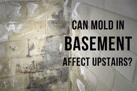 Mold Frenzy: Can Mold in Basement Affect Upstairs? - Home Tips