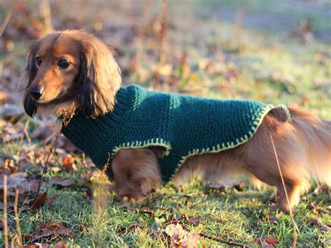 Dog coat knitting pattern - Saga