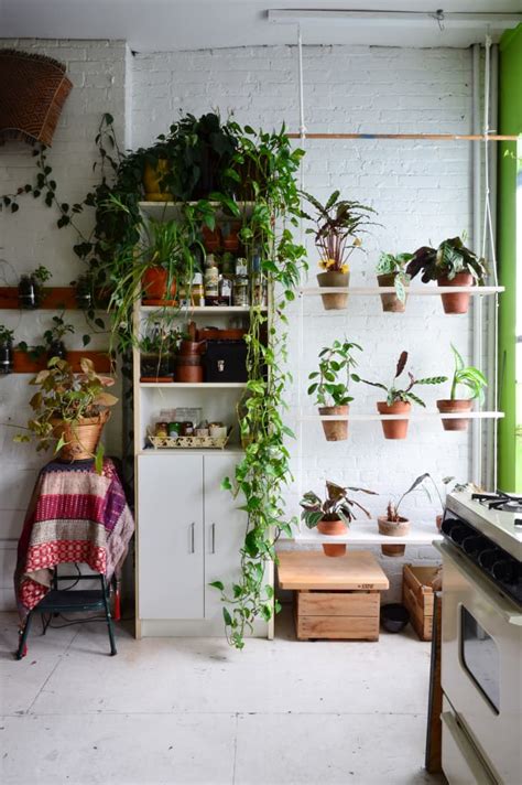 How to Display Houseplants: 100 of Our Favorite Plant-Display Ideas | Apartment Therapy