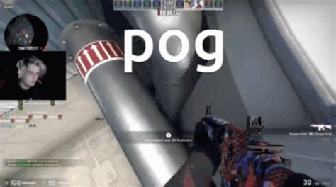 Pog GIF - Pog - Discover & Share GIFs