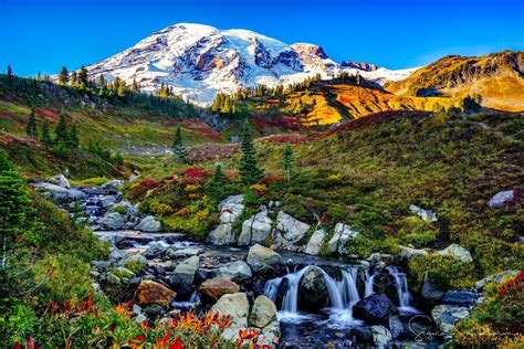 Photos: Vibrant fall colors around the Pacific Northwest | KOMO